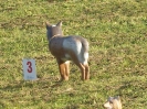 3D Turjak 8.10.2011